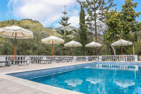 Appartementen Sunflower foto 8