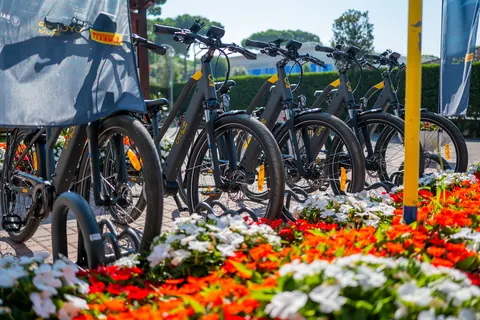 Camping Cavallino foto 18