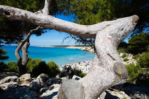 Camping Pascalounet foto 12