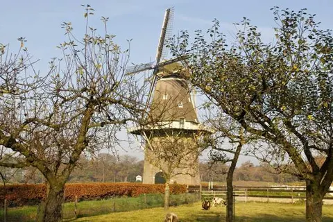 De Klomp-Charme Hotel en Restaurant foto 15