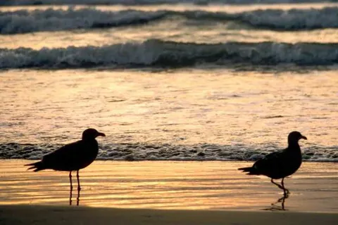 Hotel Bloemfontein foto 16