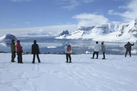 Expeditiecruise Antarctica per m/v Hondius in Cruisereizen — foto 12