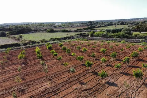 Agroturismo Son Juaneda in Ciutadella, foto 9