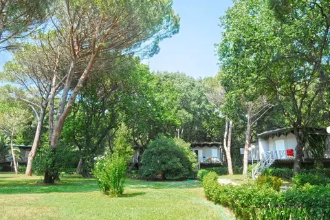 Riva degli Etruschi in San Vincenzo — foto 8