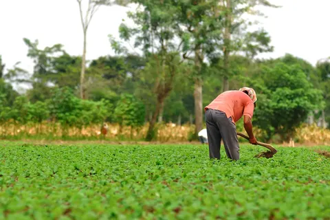 Nostalgisch Indonesië foto 10