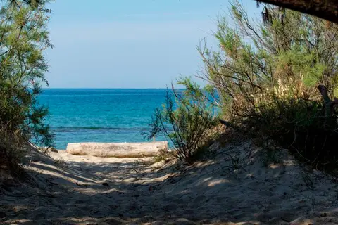 Capannino Camping Village in Bibbona — foto 14