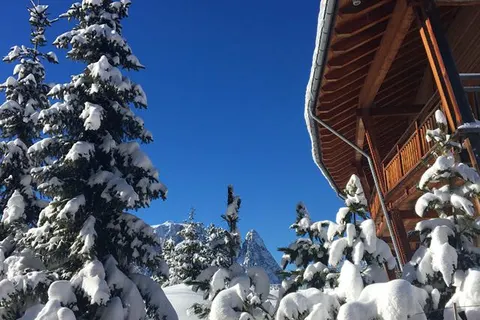 Hotel Seiser Alm Urthaler foto 8