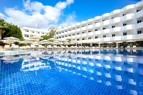 Sentido Fido Tucan in Santanyí — foto 21