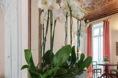 Hotel Bologna in Turijn, foto 4