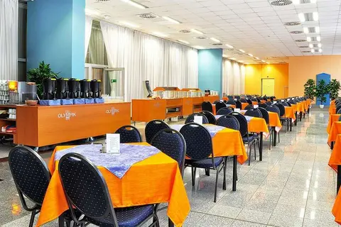 Olympik Artemis Hotel in Praag, foto 7