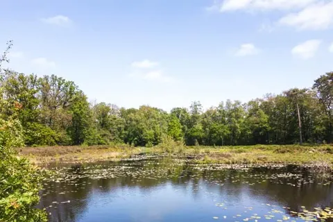 Hofparken Wiltershaar foto 12