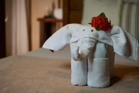 Coconut by ÓOL Hotels in Holbox, foto 10