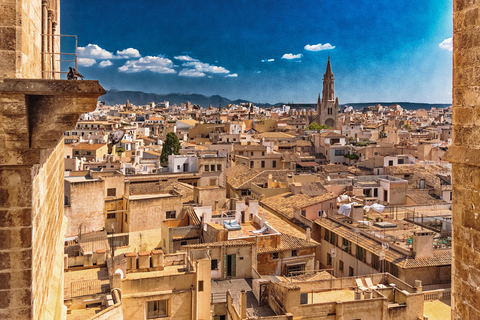 Melia Palma Bay foto 5