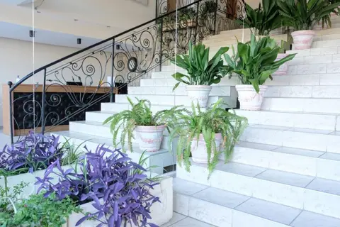 Lotus Hotel in Несебър — foto 29