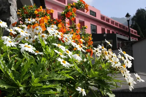 Quinta da Serra - Bio Hotel foto 4