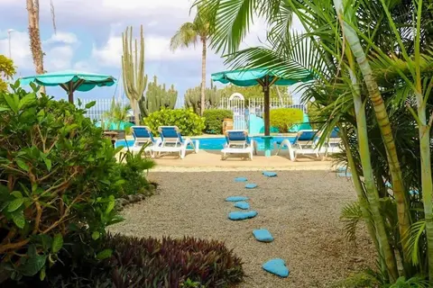Bonaire Oceanfront Apartments in Kralendijk, foto 15