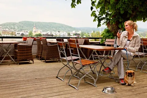 Rheinhotel Vierjahreszeiten foto 6