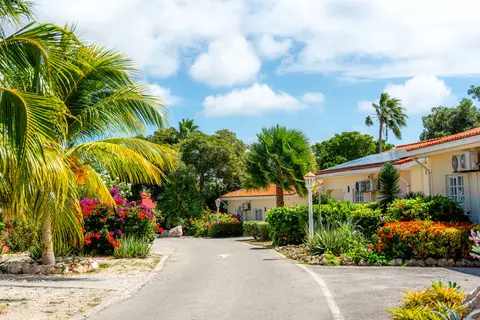 Fly & Go Culinair Livingstone Curaçao in Jan Thiel — foto 52