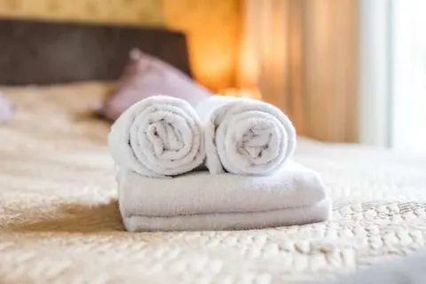 Hotel Le Provencal foto 5