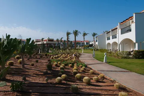 Reef Oasis Blue Bay Resort in Sharm El Sheikh, foto 16