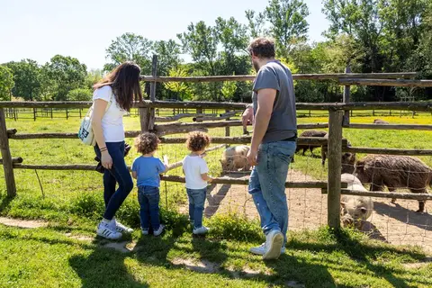 Palagina La Dimora in Figline Valdarno — foto 10