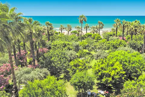 Defne Ana in Manavgat — foto 17