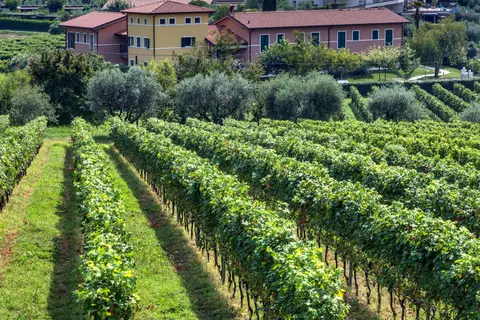 Vakantiepark Tenuta Di Palu in Bardolino — foto 4