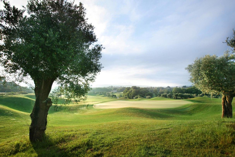 The Westin Resort Costa Navarino foto 32