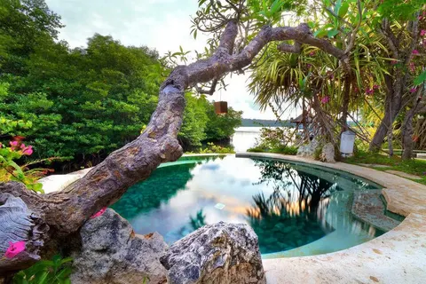 Mimpi Resort Menjangan foto 8