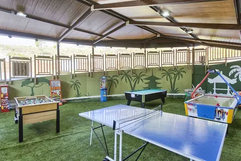 Magic Natura - Animal, Waterpark & Polynesian Lodge Resort in Benidorm — foto 11