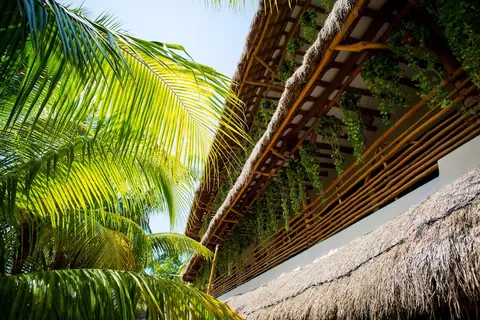 La Palma Holbox in Holbox — foto 30