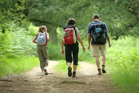 Gästehaus Blaue Ecke foto 15