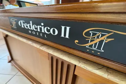 Hotel Federico Ii in Napels — foto 10