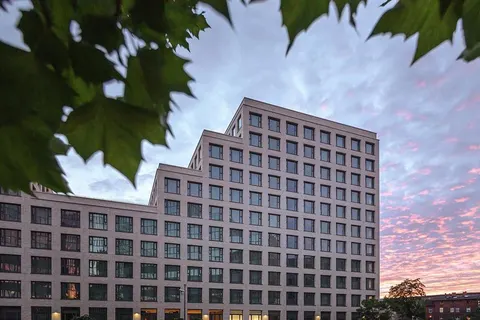 The Niu Dwarf foto 4