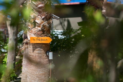 Appartementen Villa Dora foto 10