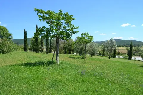 Antico Borgo Casalappi in Campiglia Marittima — foto 21
