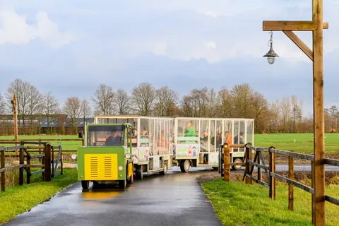 Familie Resort Molenwaard foto 24