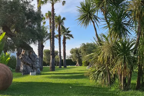 Tenuta Moreno foto 7