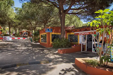 Cabopino in Marbella — foto 26