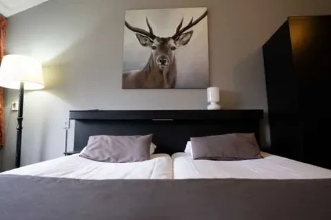 Veluwe Hotel Stakenberg foto 4