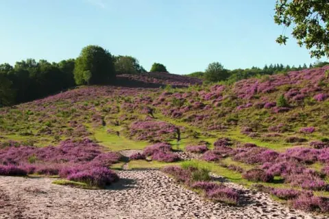 Hotel Spelderholt foto 21