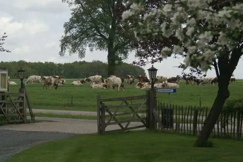 Hotel De Hoestinkhof foto 25