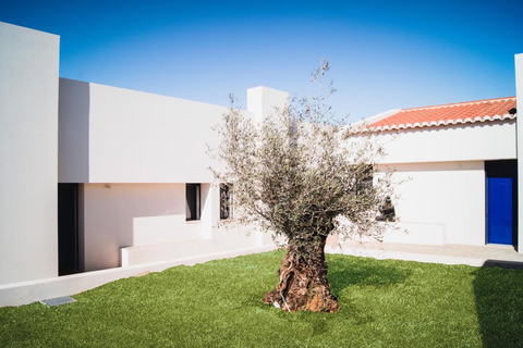 B&B Alma do Campo foto 8