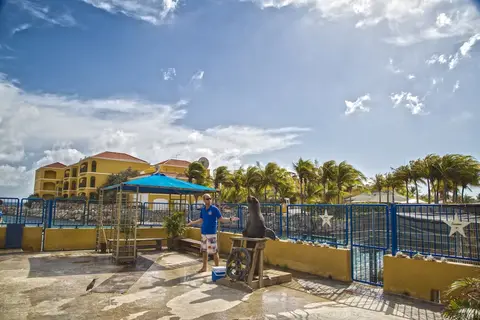 The Royal Sea Aquarium Resort in Willemstad — foto 25