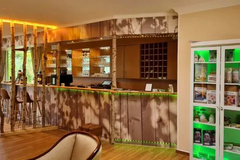 Hotel Harzresidenz in Thale — foto 21