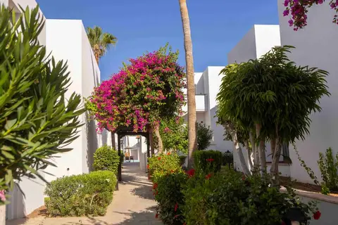 Kapetanios Aqua Resort in Peyia — foto 27