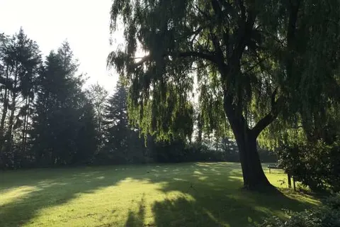 Boerderij De Wingerd foto 12