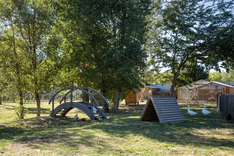 Camping La Sardane foto 28