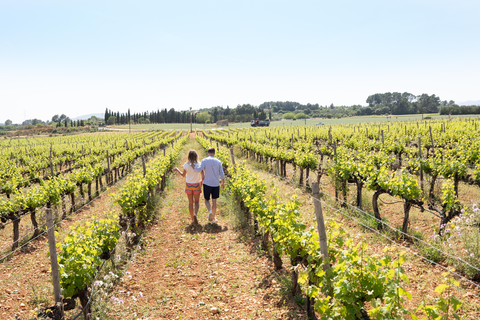 Iberostar Selection Llaut Palma - adults only foto 25