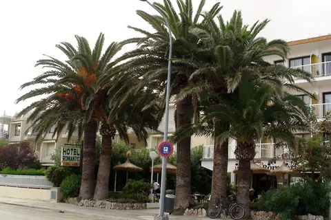 Cabot Romantic in Port de Pollença — foto 18